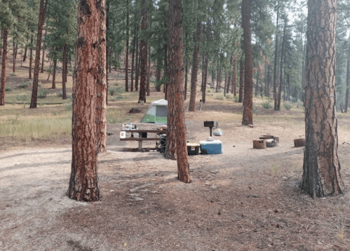 A campsite in a forest with a tent, picnic table, cooler, and scattered camping gear among tall pine trees.